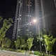 네이처