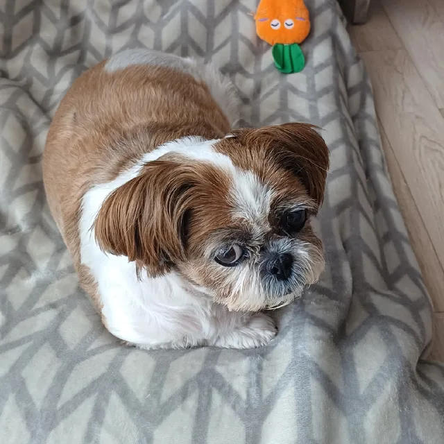무대리