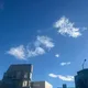 당근이야기