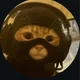 유유
