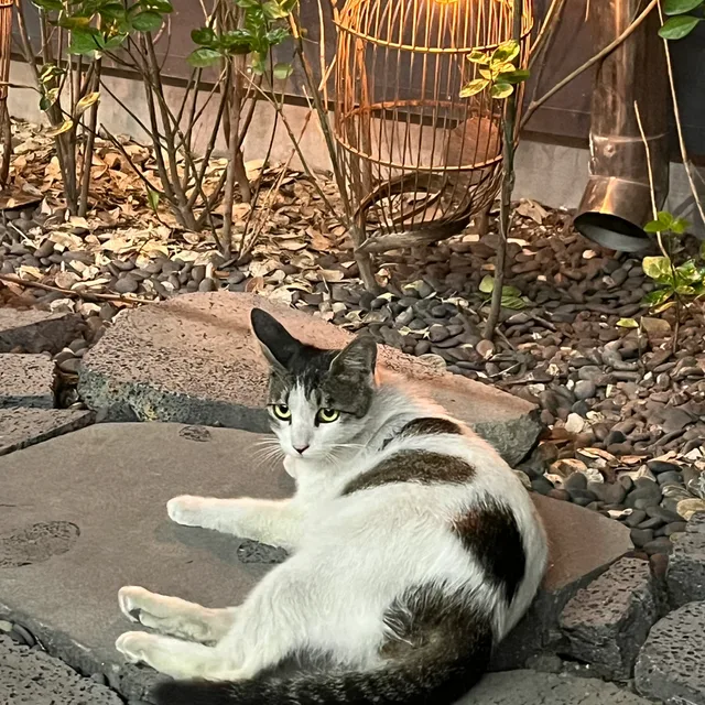 정리의온도