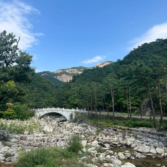 이응쓰