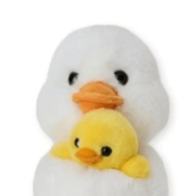 레둥이
