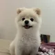 따따
