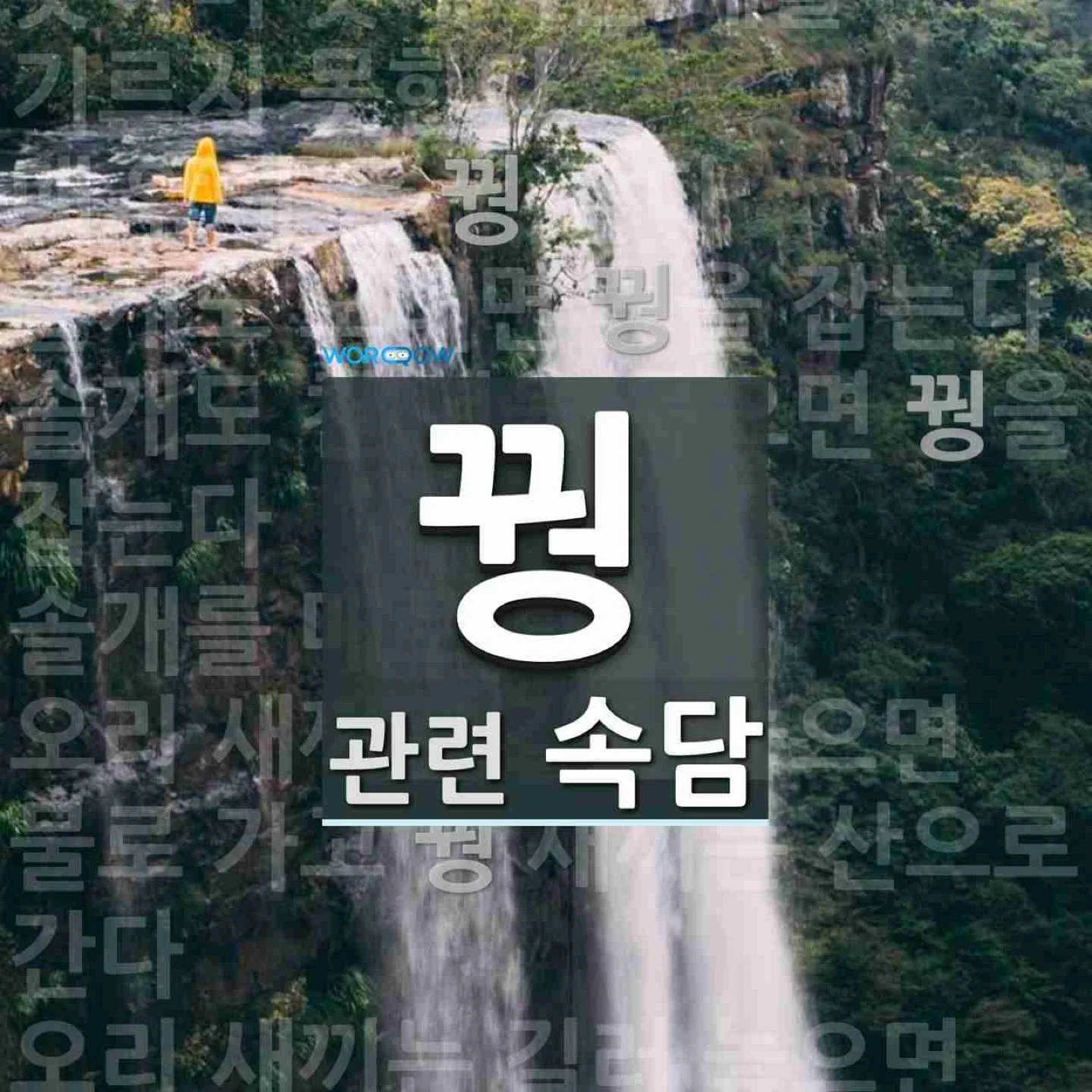 유럽
