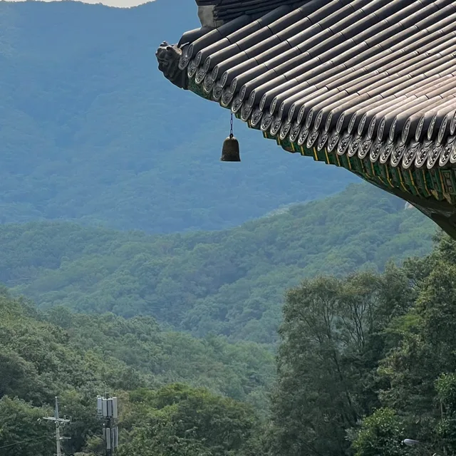 제주