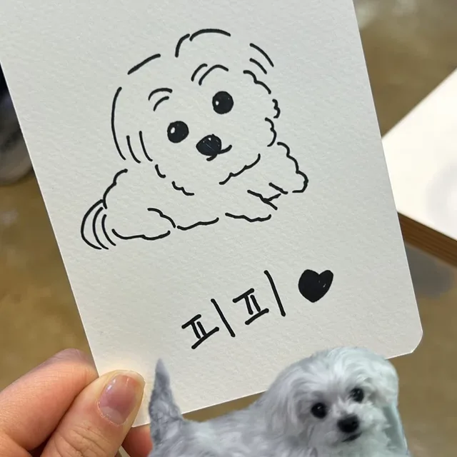 왕만두
