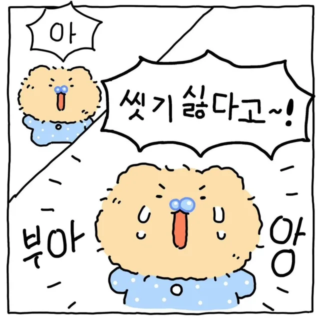 부앙단대빵