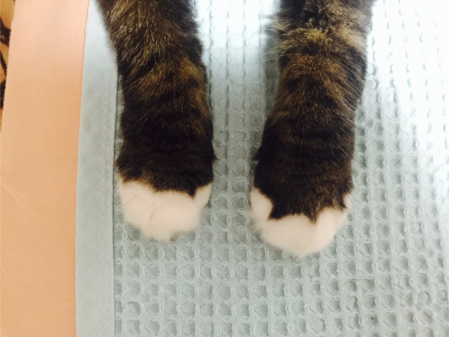 몽땅팔아요
