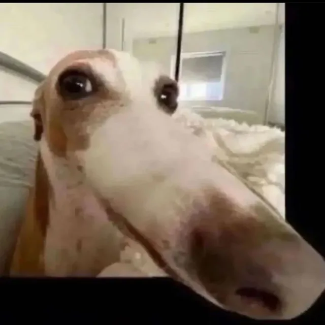 7129042918