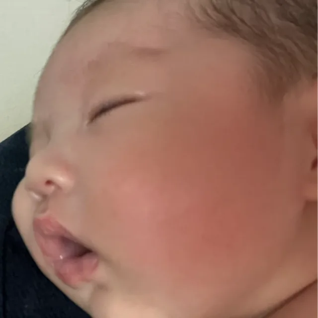 찰떡이네