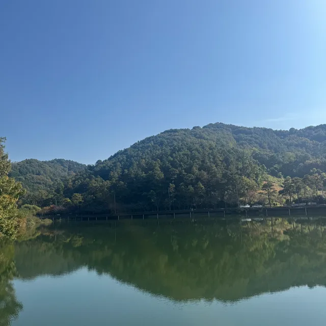 또로리