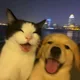 하니바