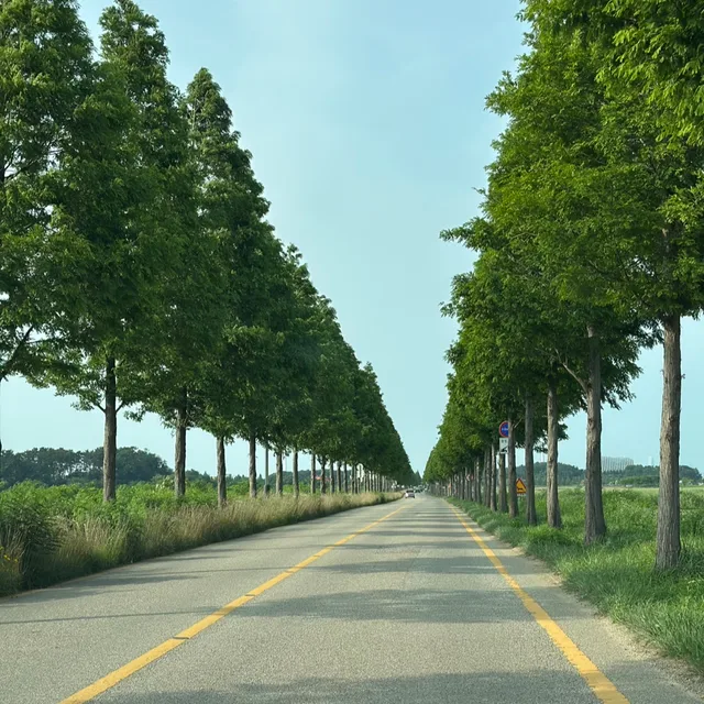 나리
