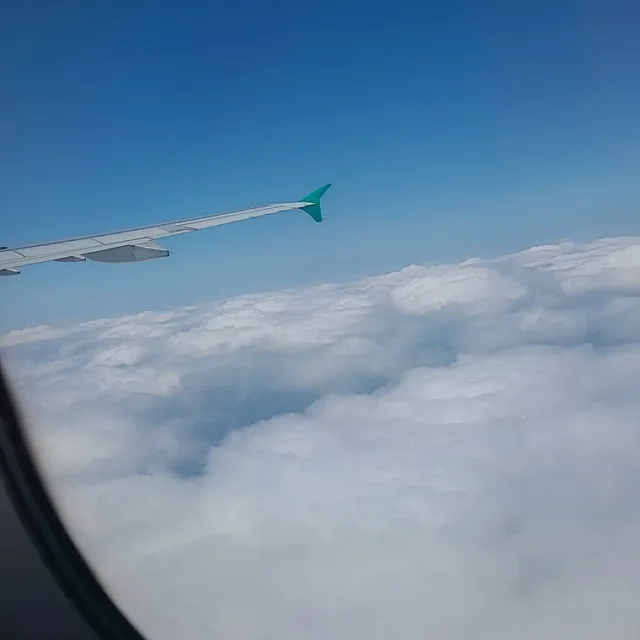 행복하자