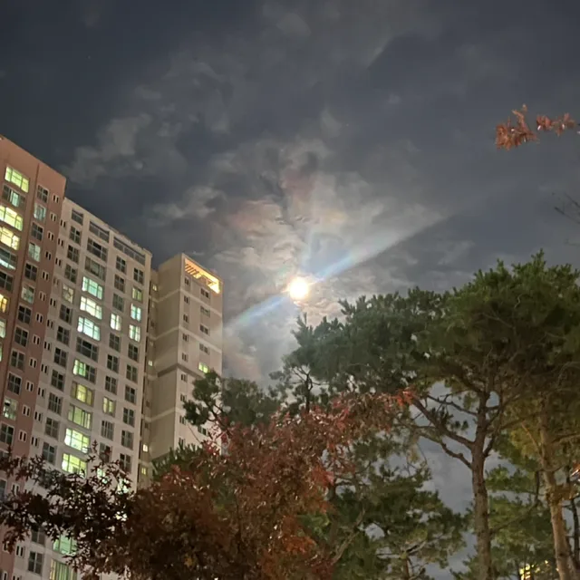 세이슌