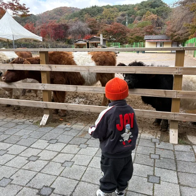 착하게살자