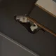 마번