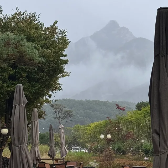 멋항근