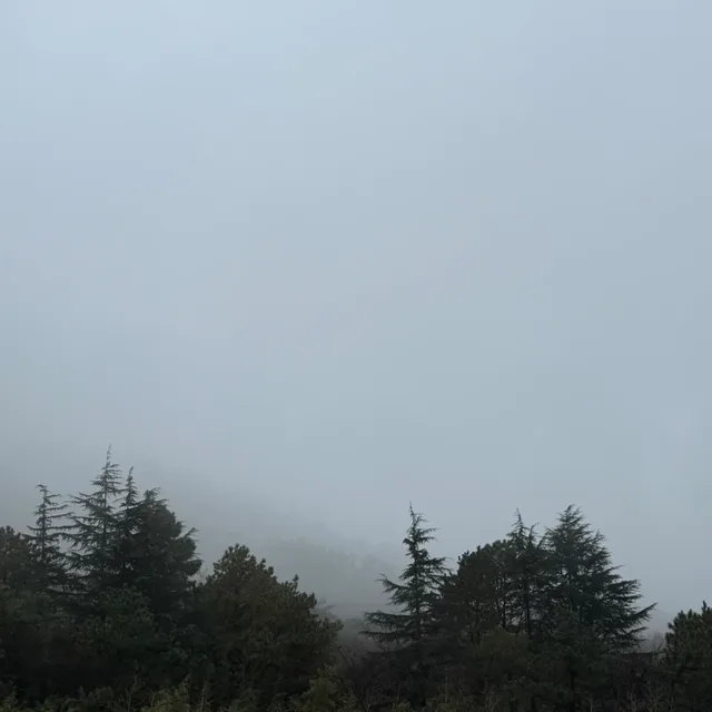 눈보라