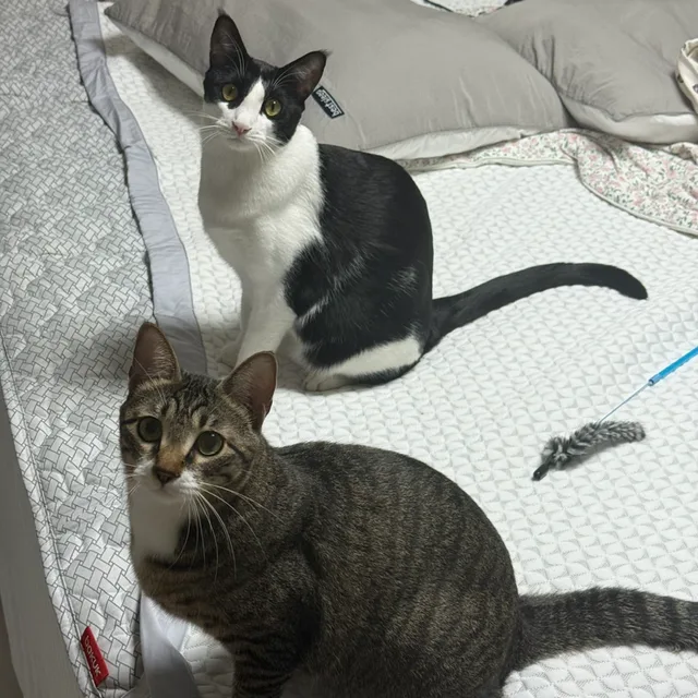 아임똥이