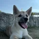헤헿