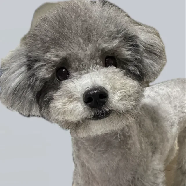 햎피해삐