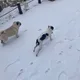 달님