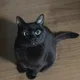 쥬쥬