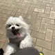 테리