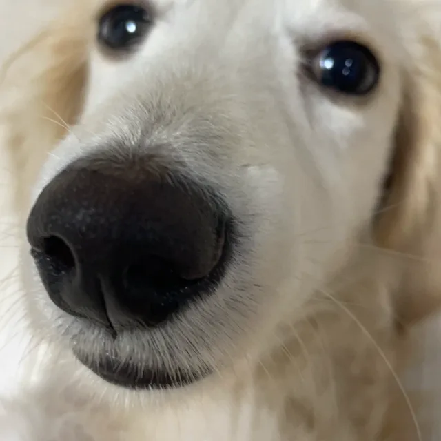 우아아앙
