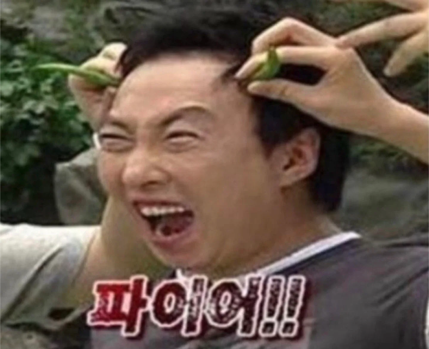 크롱포비