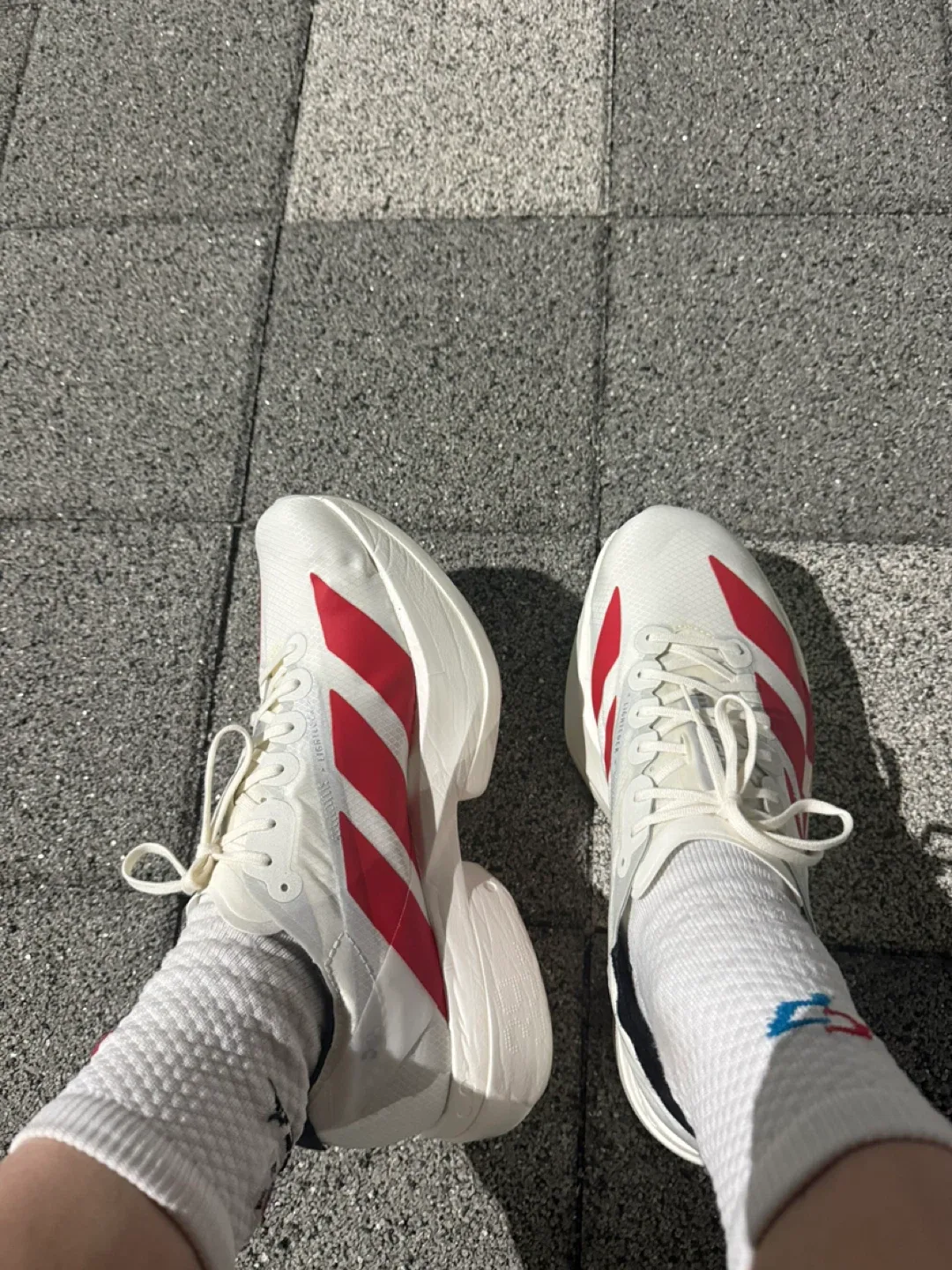 세종직할시