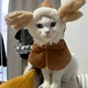 아워레가싱