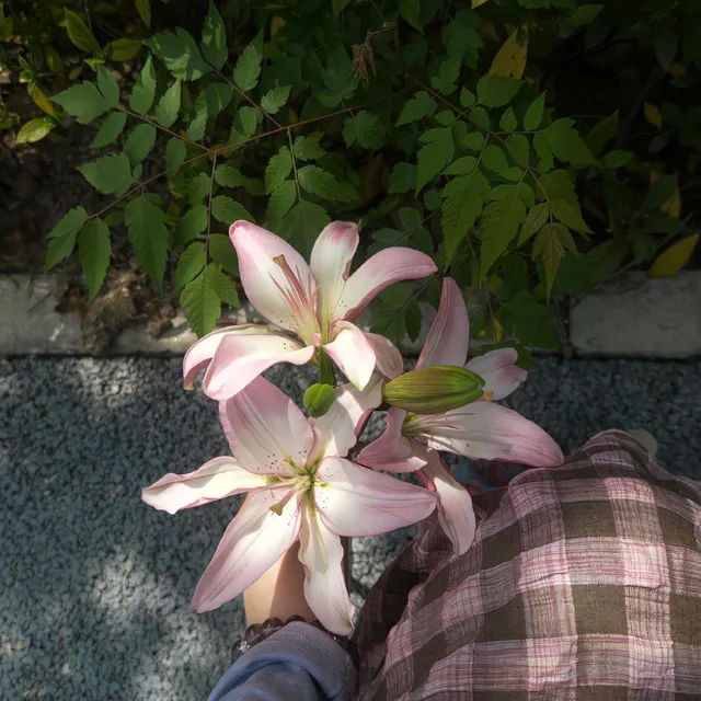 빈티지공주