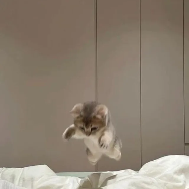 유채
