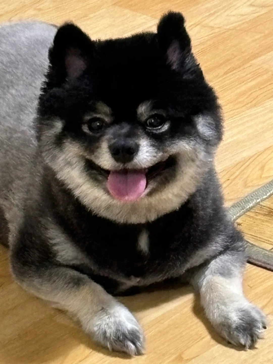 꼼잉
