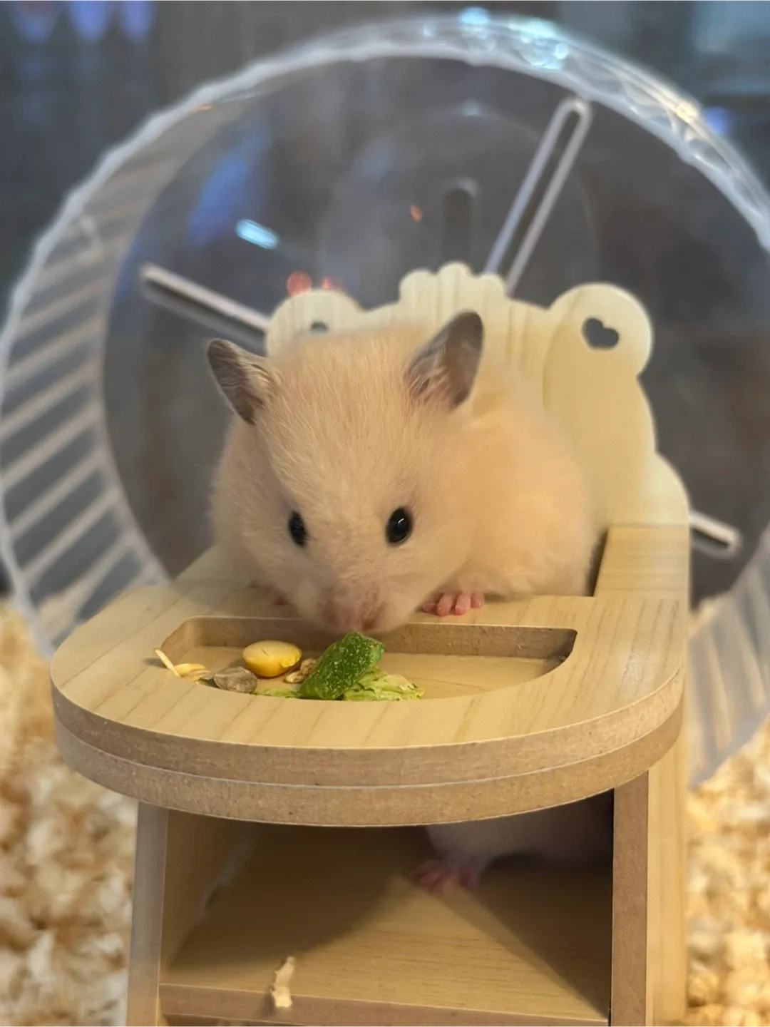 할말이뭐니