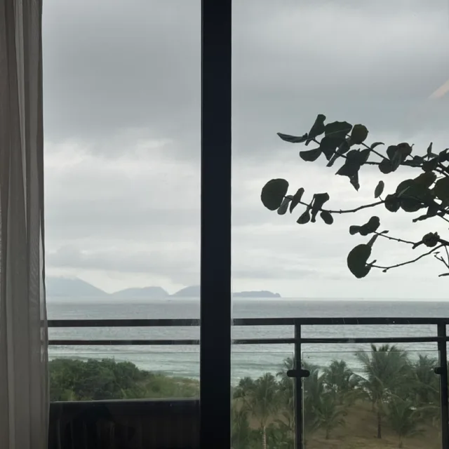 라벤더
