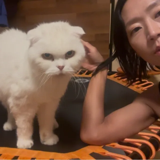 사브작