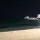 htt