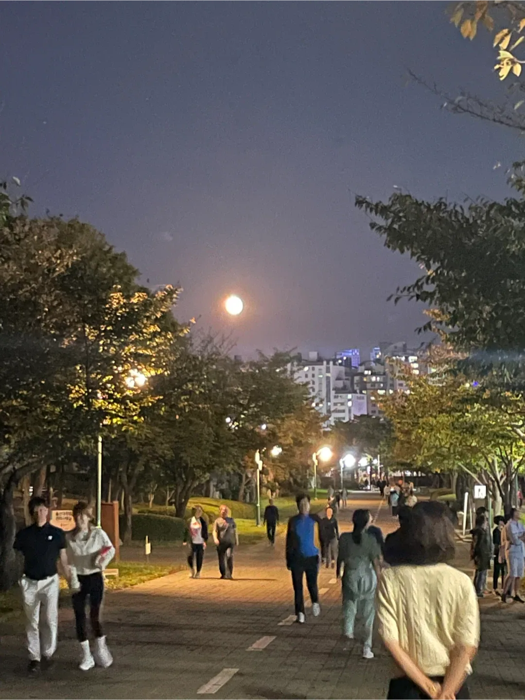 메루니
