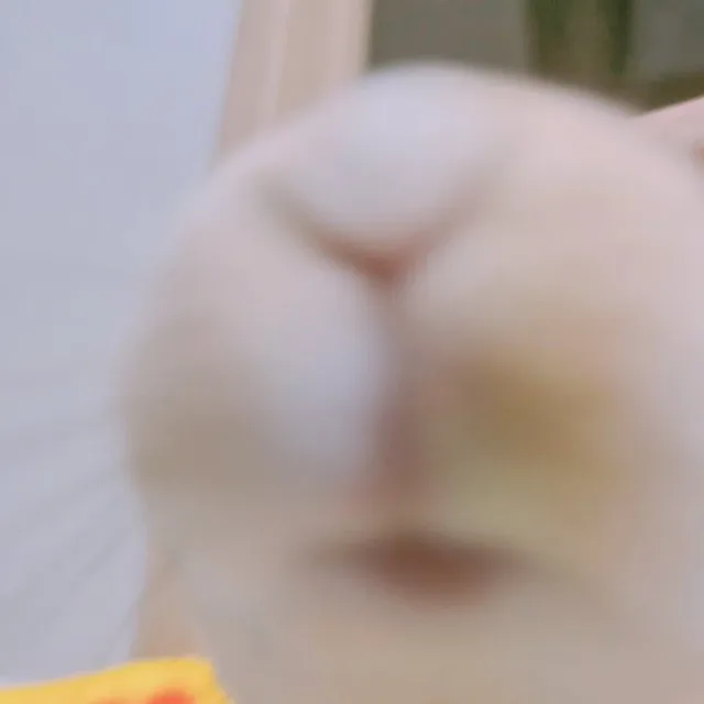 밝은바리스타