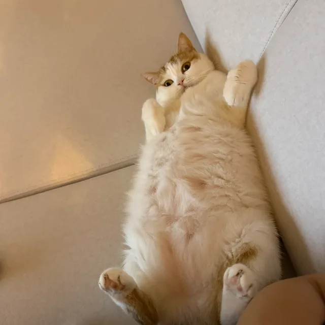 겨울아