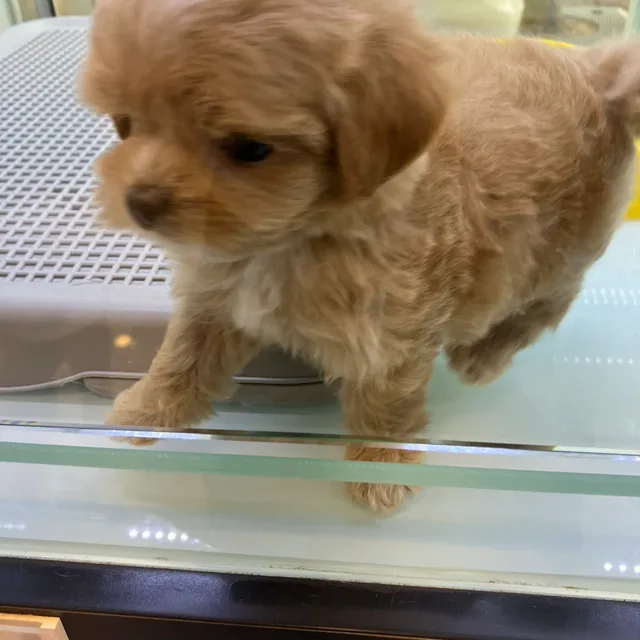 나도회사차리고싶다