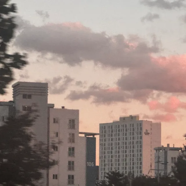 라비