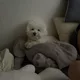 당근탁