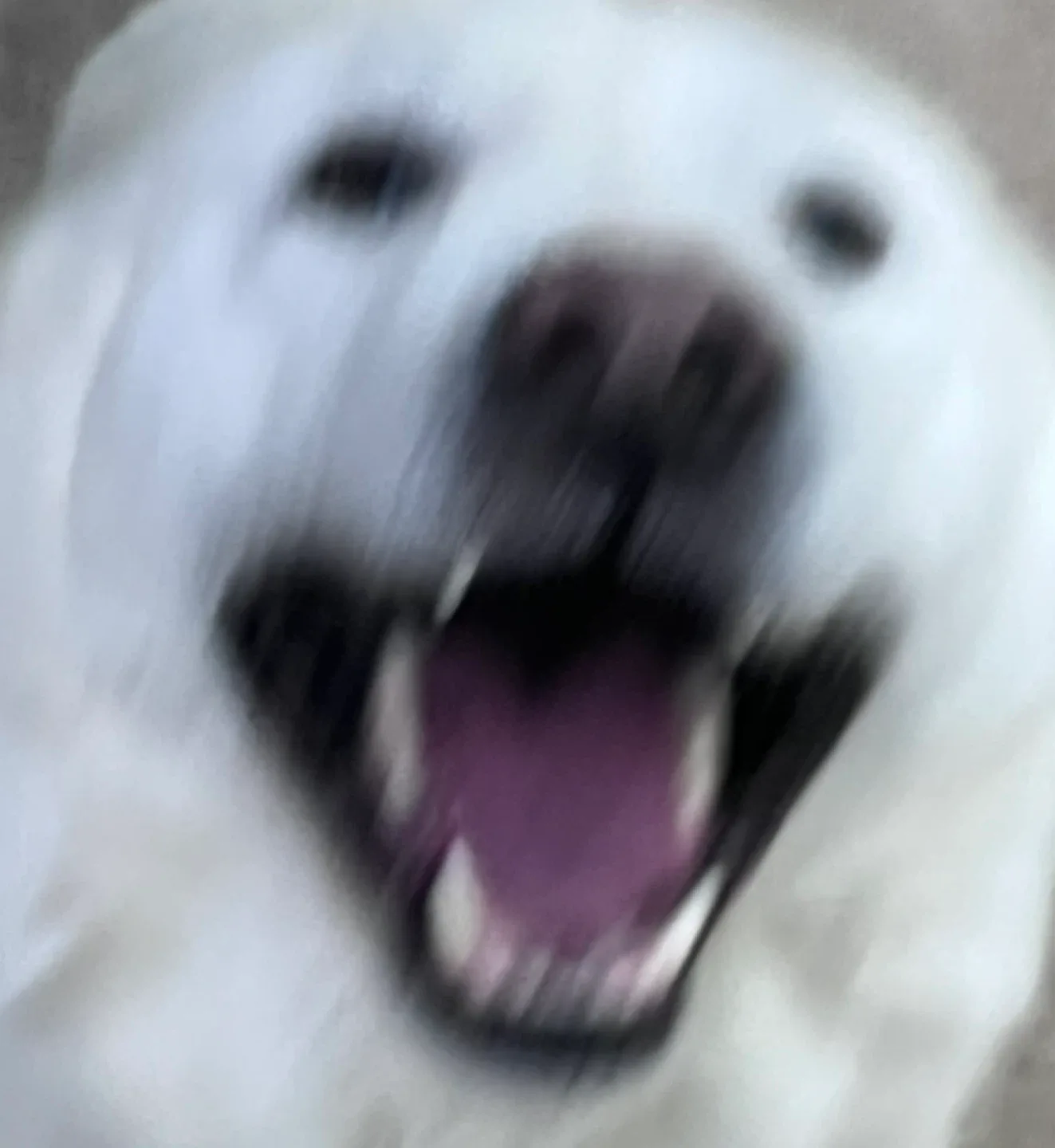 이당근