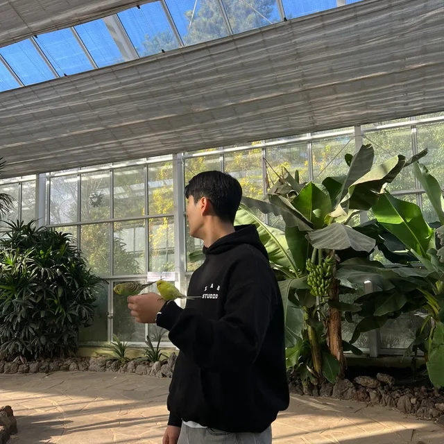 뻔도