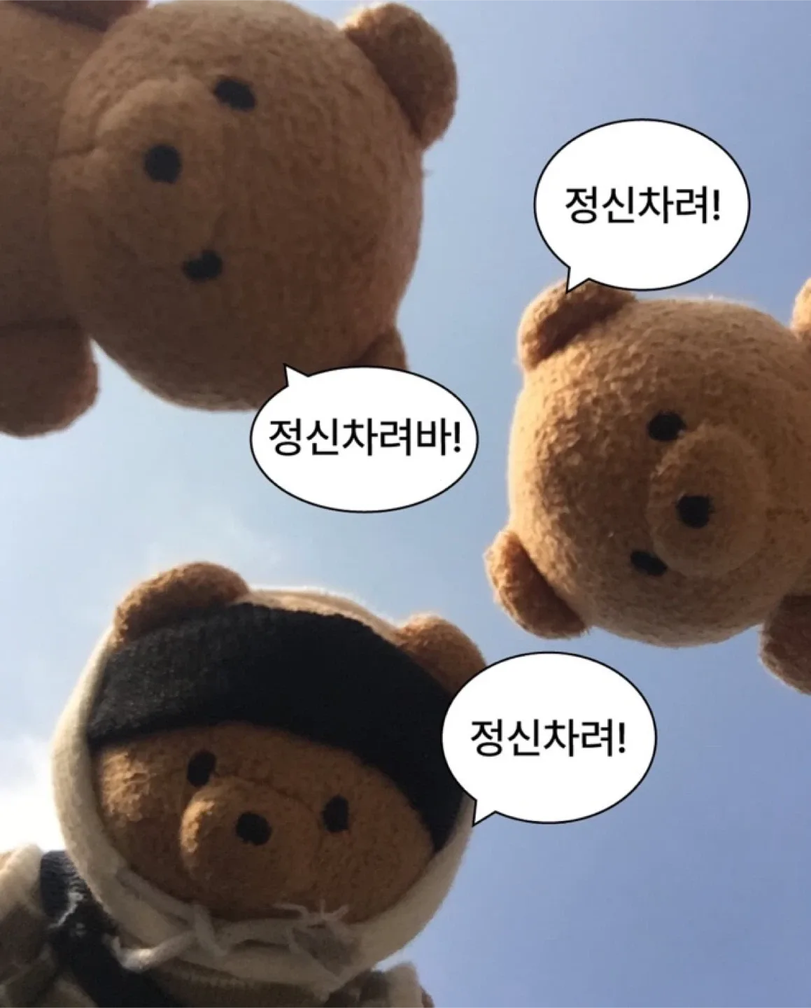 곰탱